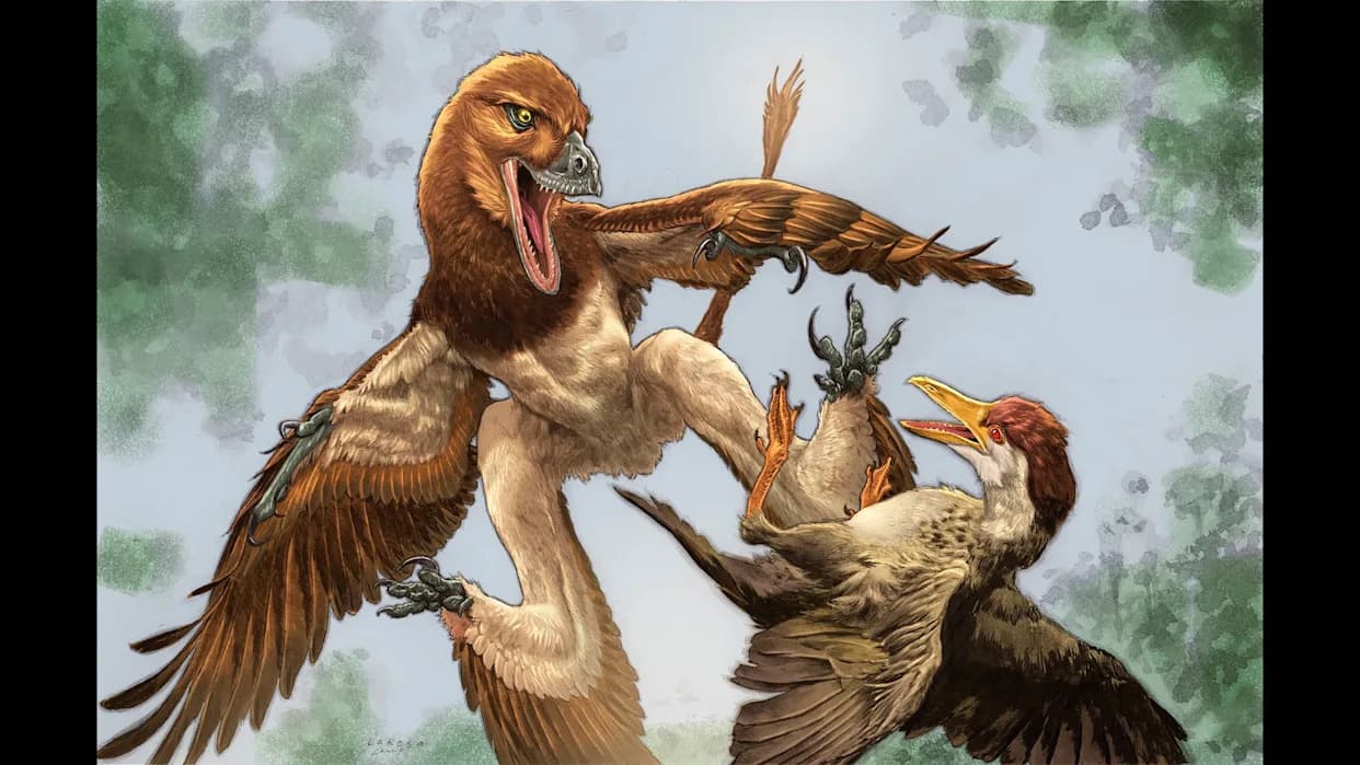 Otkriven dinosaurus koji je klizio kao leteća veverica — rođak velociraptora u basenu Changma