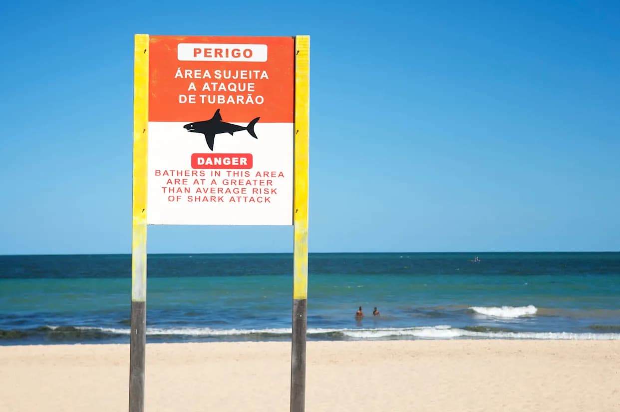 Tragedija na plažama Recifea: Dva uzastopna napada ajkula — 11-godišnjak i 19-godišnjakinja ostali bez nogu