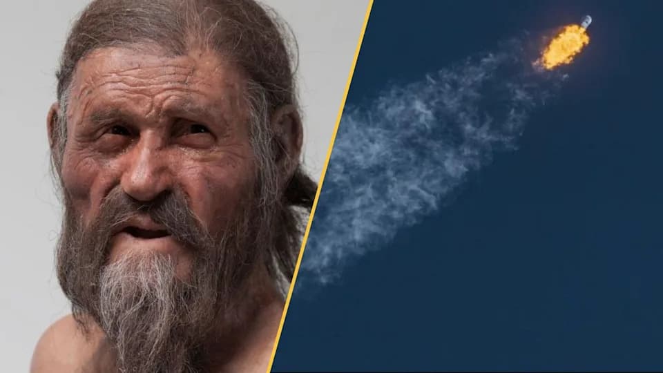Nauka nedelje: Ötzi kvasac za kiseli hleb, otkrića stara 17.000 godina i Googleova dozvola za 64M komaraca