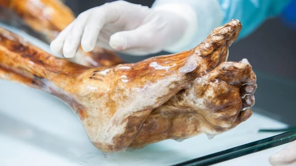 Ötzi i njegovi preživeli mikrobi: mumija stara 5.300 godina kao živući ekosistem