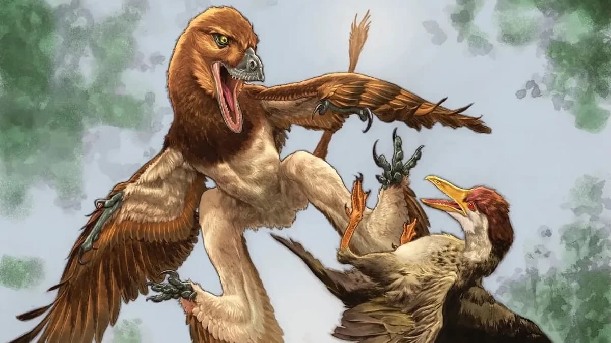 Novi mikroraptorski predator Jian changmaensis otkriva ko je raskomadao drevne ptice iz Changma basena