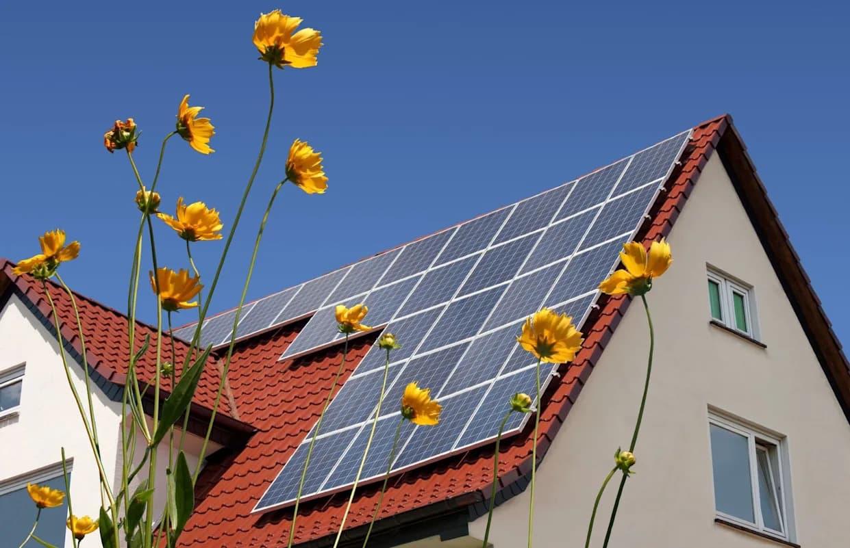 Solarna Energija Prvi Put Pretekla Ugalj U Američkom Energetskom Miksu — Maj 2026.