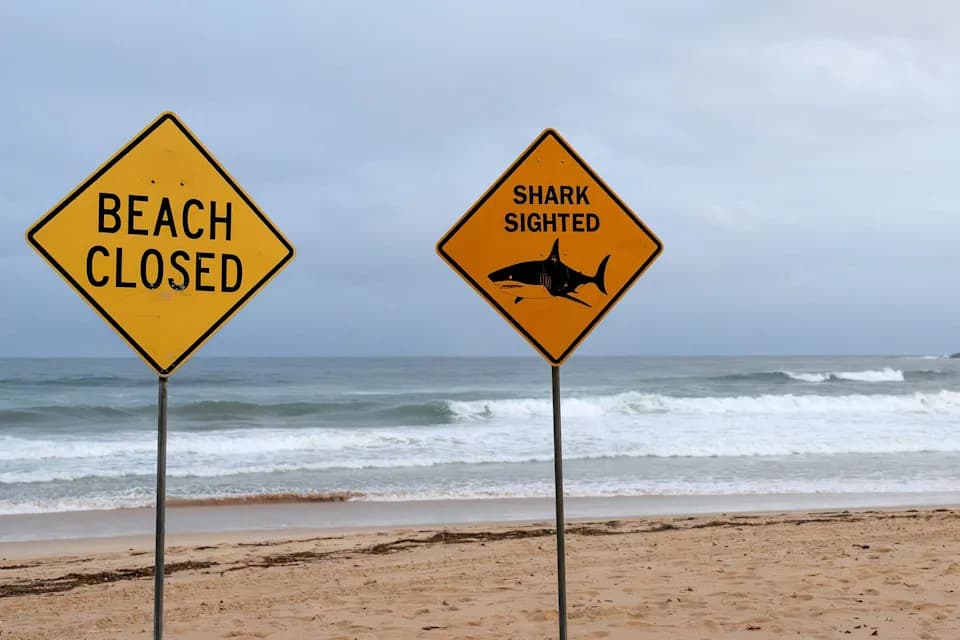 Napad ajkule na plaži Coogee: 30-godišnja žena u kritičnom stanju, plaže zatvorene