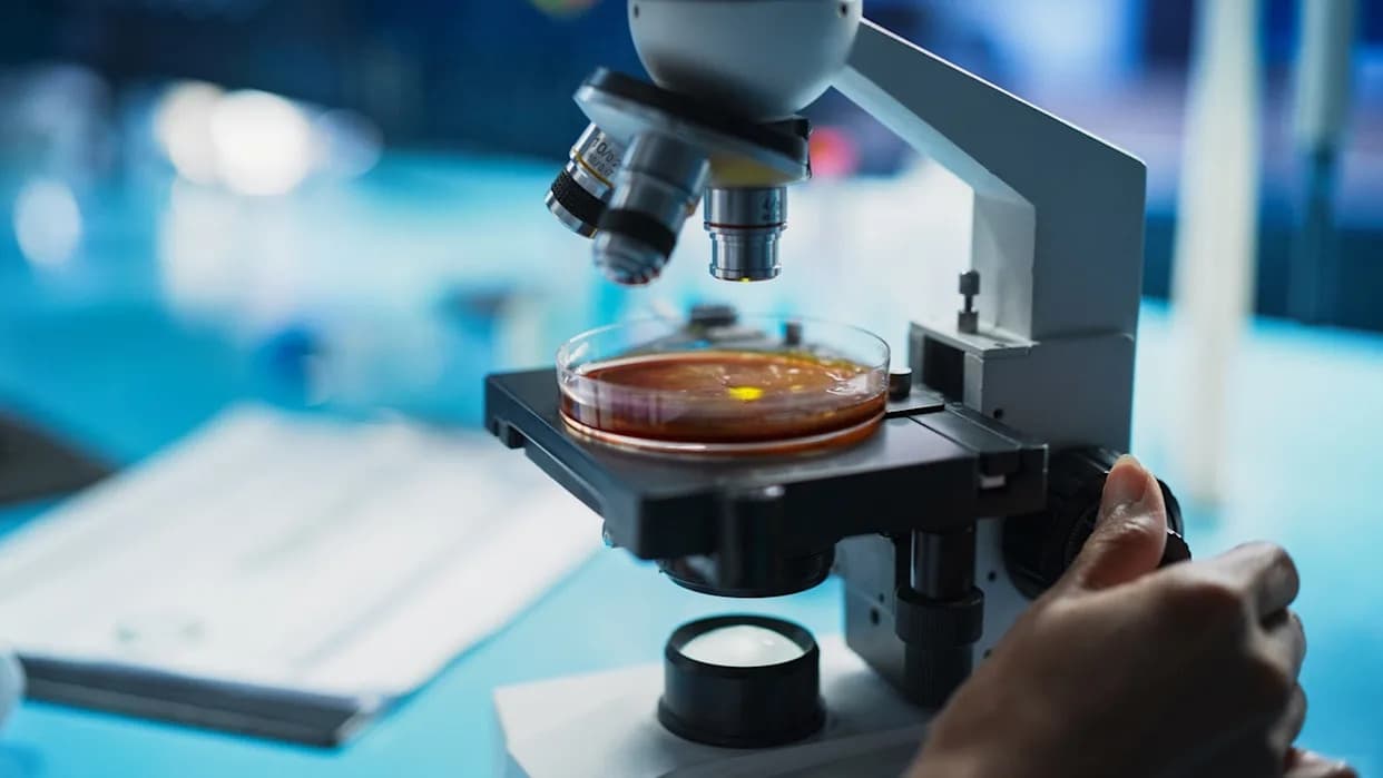 TRACE-CPE: Velika studija o brzim testovima za karbapenemaze u NHS bolnicama