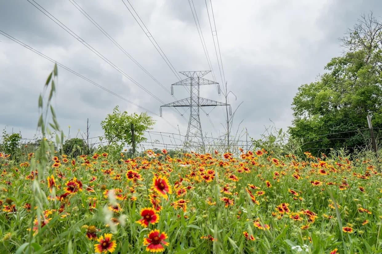 Ovog proleća čista energija u SAD postavila niz rekorda — solar, baterije i vetar pomeraju granice