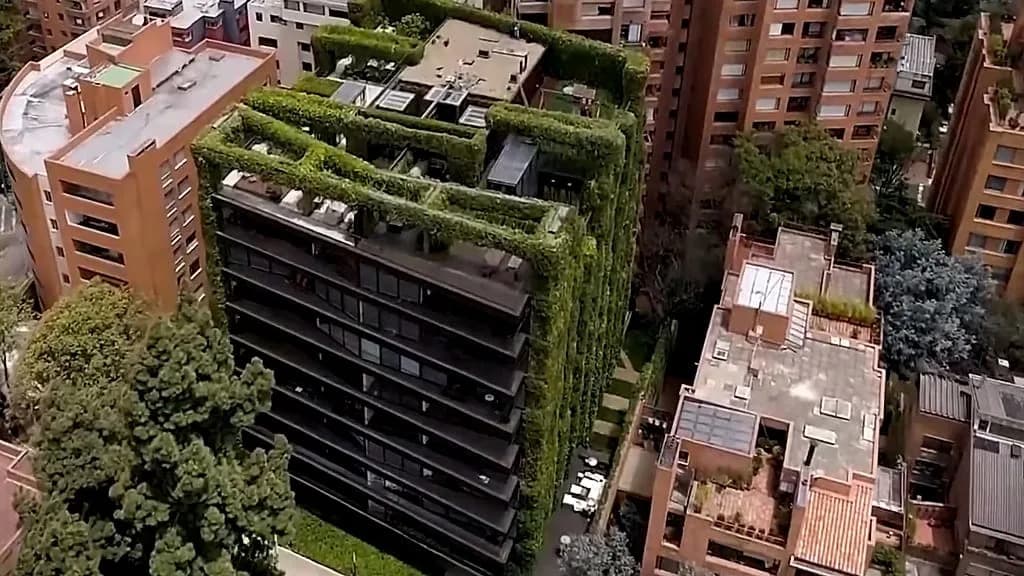 Vertikalni vrtovi koji hlade gradove: kako Latinska Amerika podiže zeleni trend