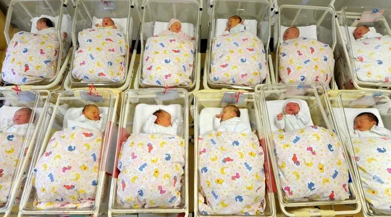 Nemačka: Stanovništvo Blago Opalo — Migracija Ne Nadoknađuje Pad Nataliteta