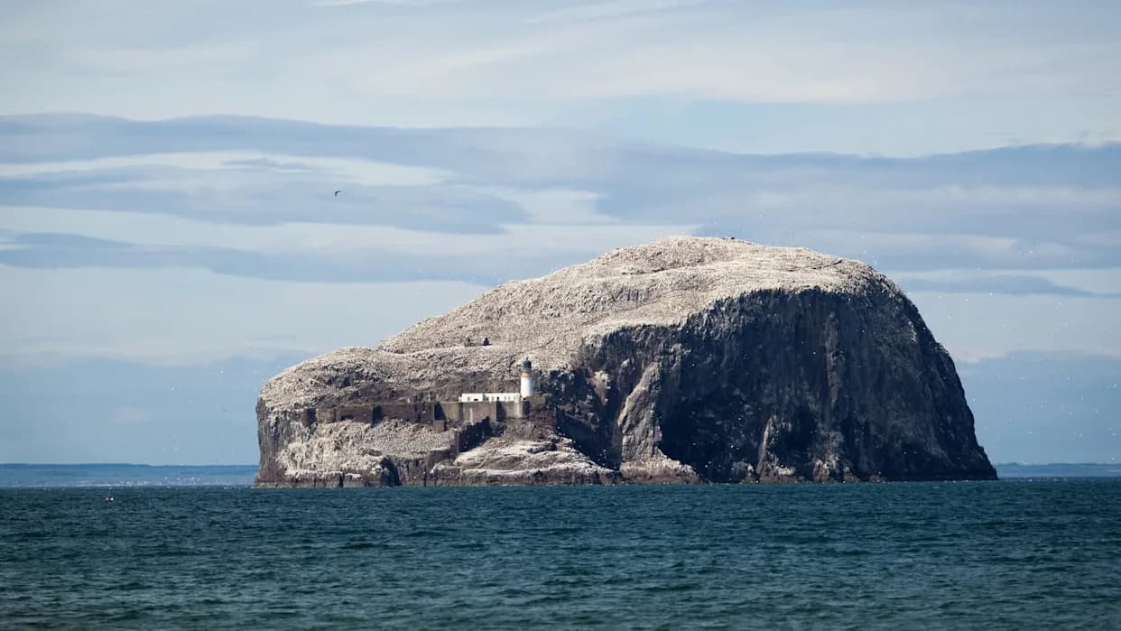 Bass Rock ('Alkatraz Škotske') Prodat RSPB — Zaštita 100.000 Ganneta i 10.000 Maskonura