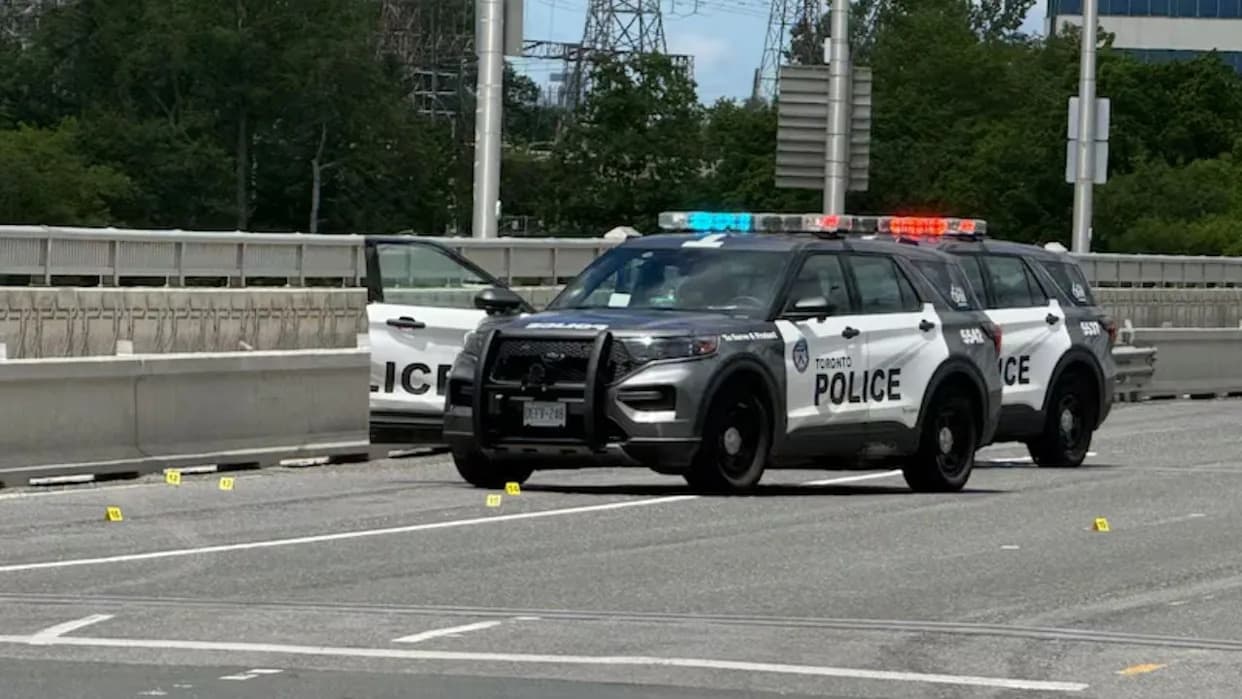 Samo 12 Godina: Potera, Hici i Optužbe Nakon Incidenta na Mostu Leaside
