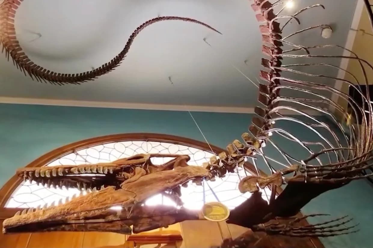 Tylosaurus rex — otkriven "kralj" drevnih mora, predator dug do 13 m