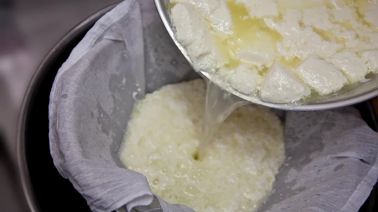 Nove Perle Od Otpadnih Proteina Iz Surutke I Tofua Hvataju CO2 Iz Vazduha