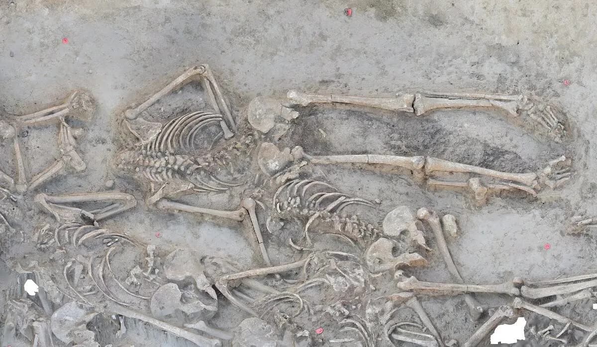 Neolitska zagonetka iz Slovačke: 77 od 78 kostura bez lobanja