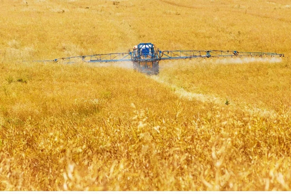 Kako Klimatske Promene Prete Ključnim Usevima: Šta Može Postati Teže Za Gajenje