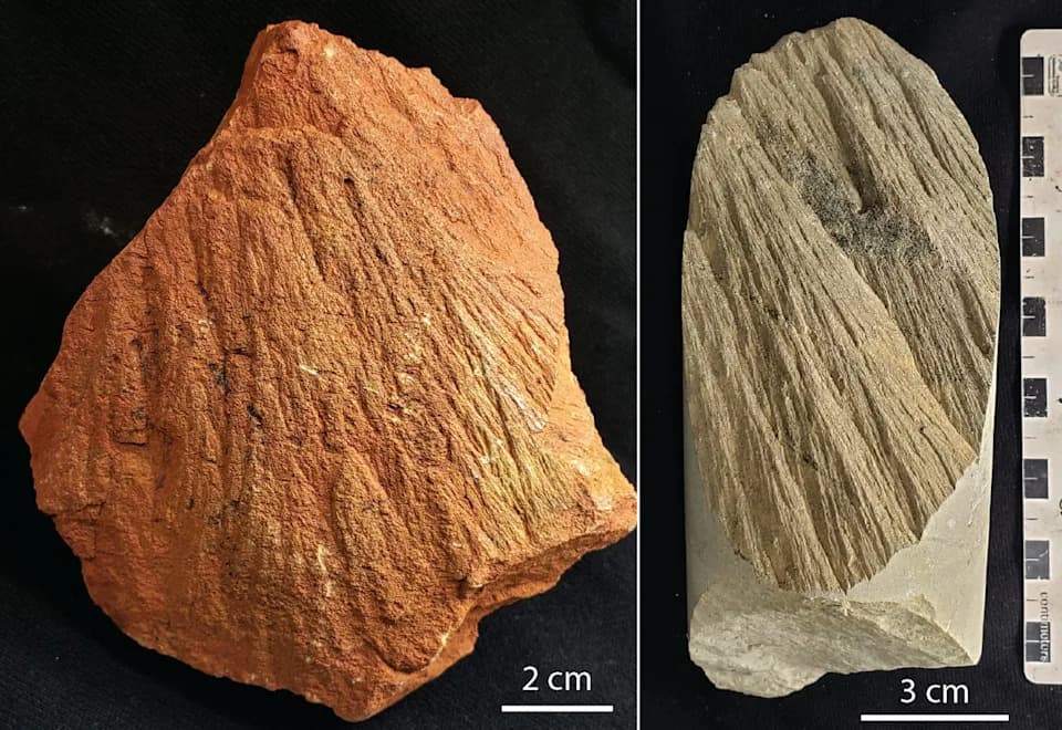 Meteoritni Udari Koji Su 'Prašili' Zlato? Otkriven Krater Prečnika 4 km U Ora Bandi