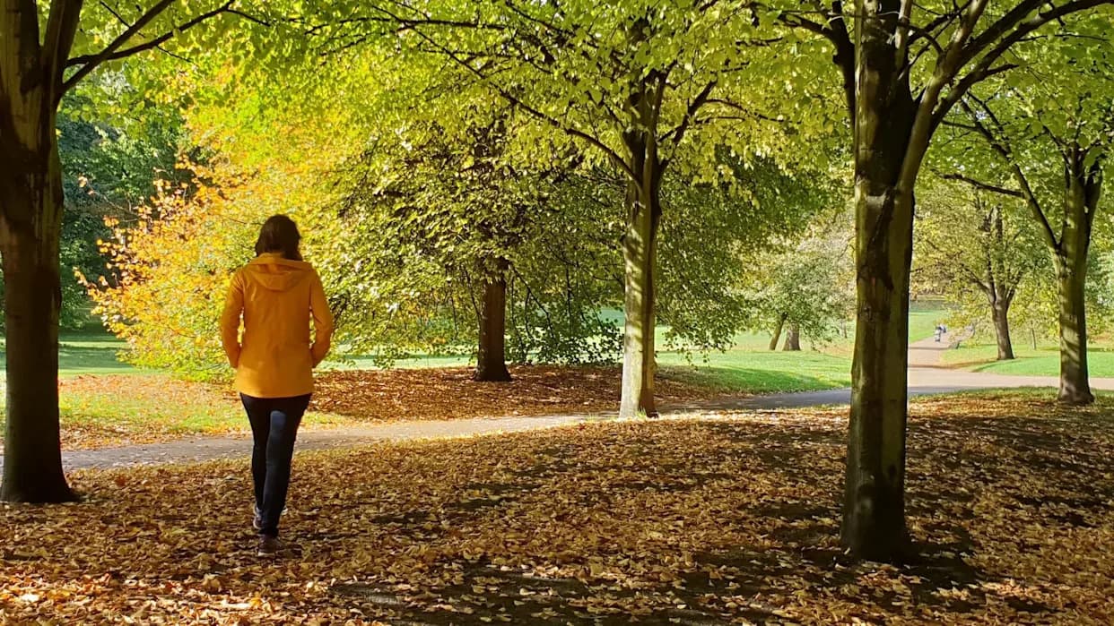100 jardi od parka: ulice postaju toplije, prljavije i bučnije — studija