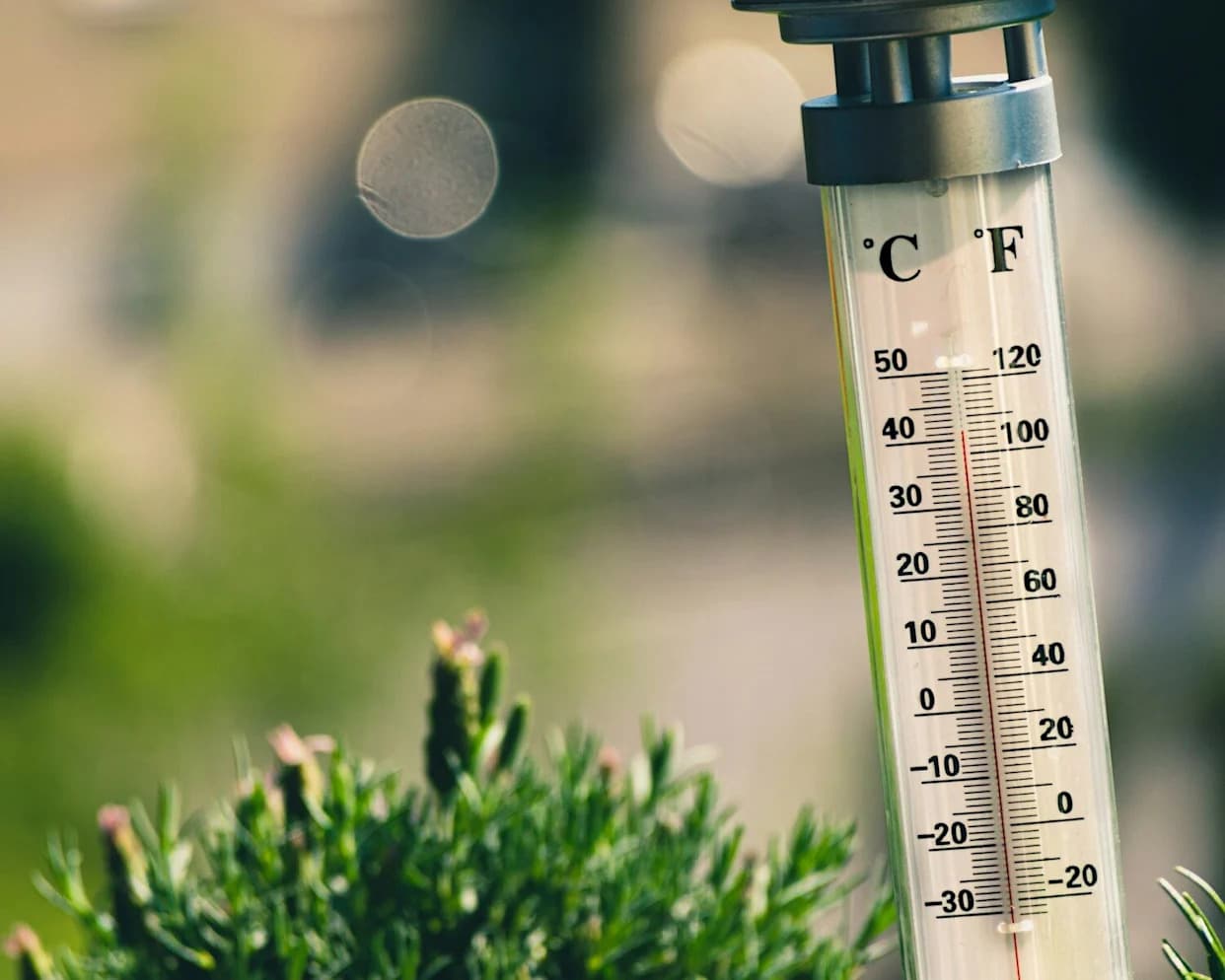 Gde Temperature Najbrže Rastu — Arktik Predvodi