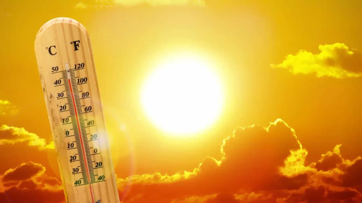 Novi alat daje 3–5 meseci upozorenja: Predviđa kada vrućina preti više od 3.500 vrsta