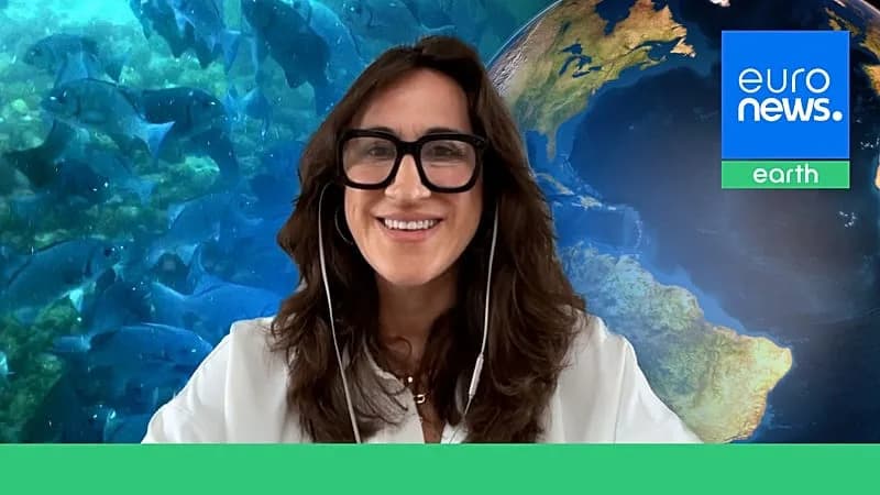 „Pripada Svima Nama“ — Kako Ugovor O Visokim Morima Menja Pravila Na Globalnim Vodama