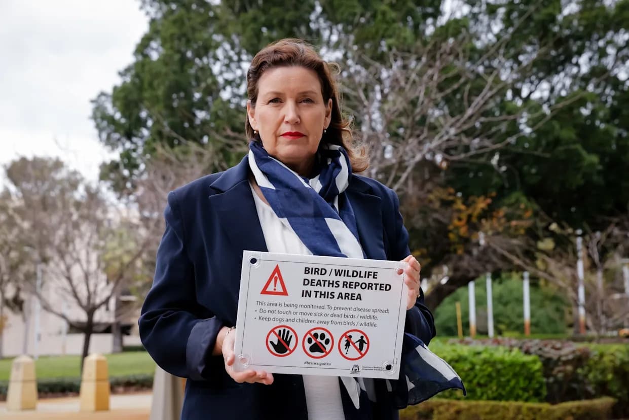Potvrđeno: H5N1 Po Prvi Put Na Kopnu Australije — Smeđa Skua Pozitivna