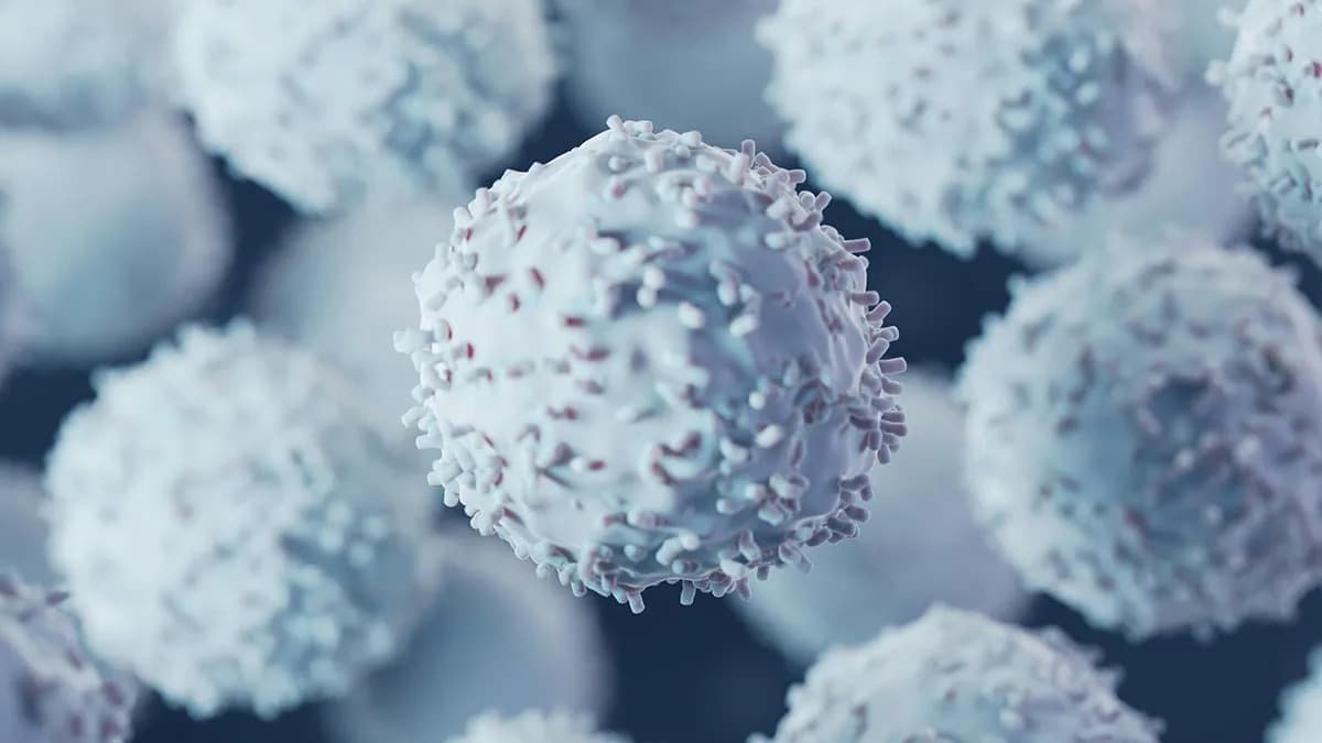 Novo otkriće u imunom sistemu: CD4+ T ćelije Napadaju Tumore Koji Skrivaju MHC I