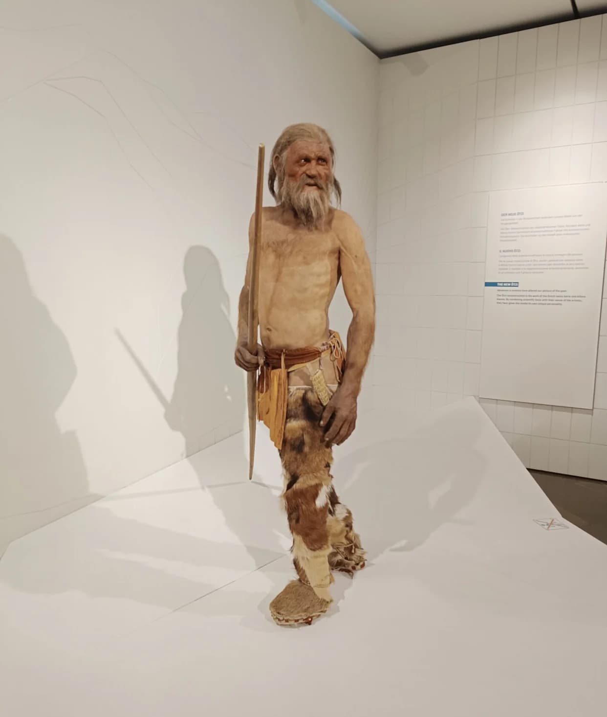 Ötzi 'Živ' u Mikrobnom Smislu: Drevni Mikrobi Otkriveni u Mumiji Stare 5.300 Godina