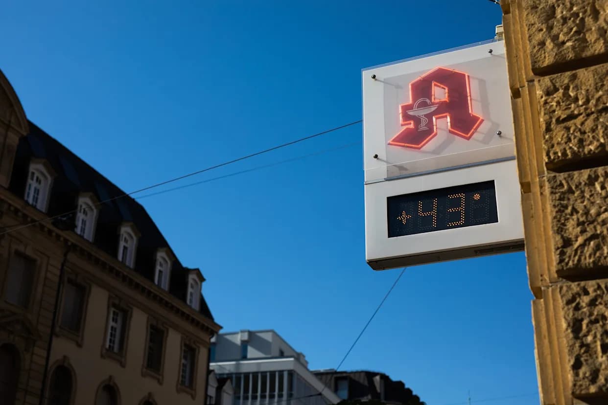 Šef SZO: Oko 500.000 Smrtnih Slučajeva Godišnje Zbog Ekstremne Toplote