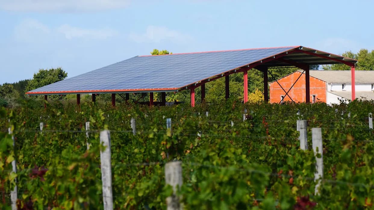 Solarne Farme Kao Utočišta Za Prirodu: Tajna Je U Bilju Ispod Panela