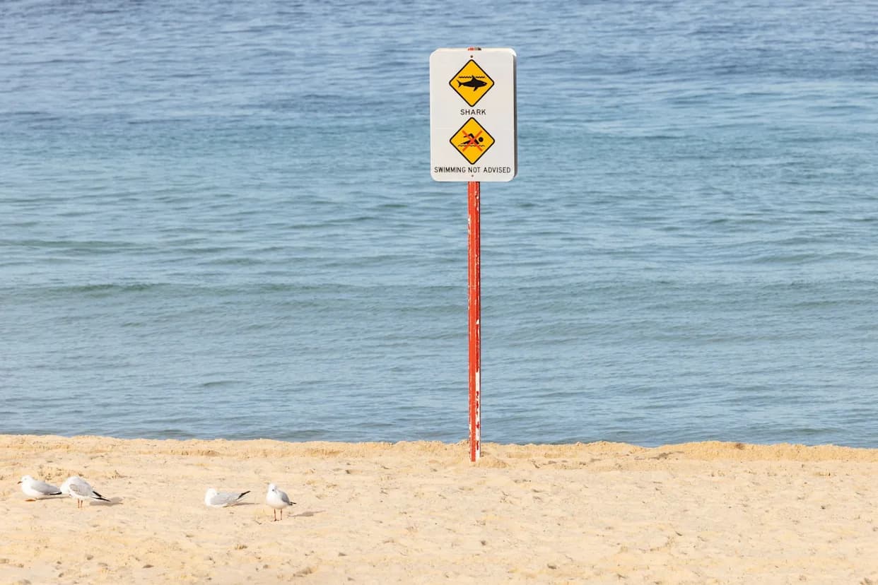 Sidnejske plaže zatvorene četvrti dan zaredom nakon novih viđenja ajkula