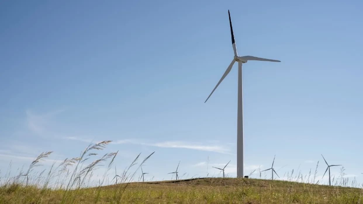 Farbanje Jedne Lopatice U Crno Smanjuje Smrt Ptice — Veliki Test U Vajomingu Proverava Metodu