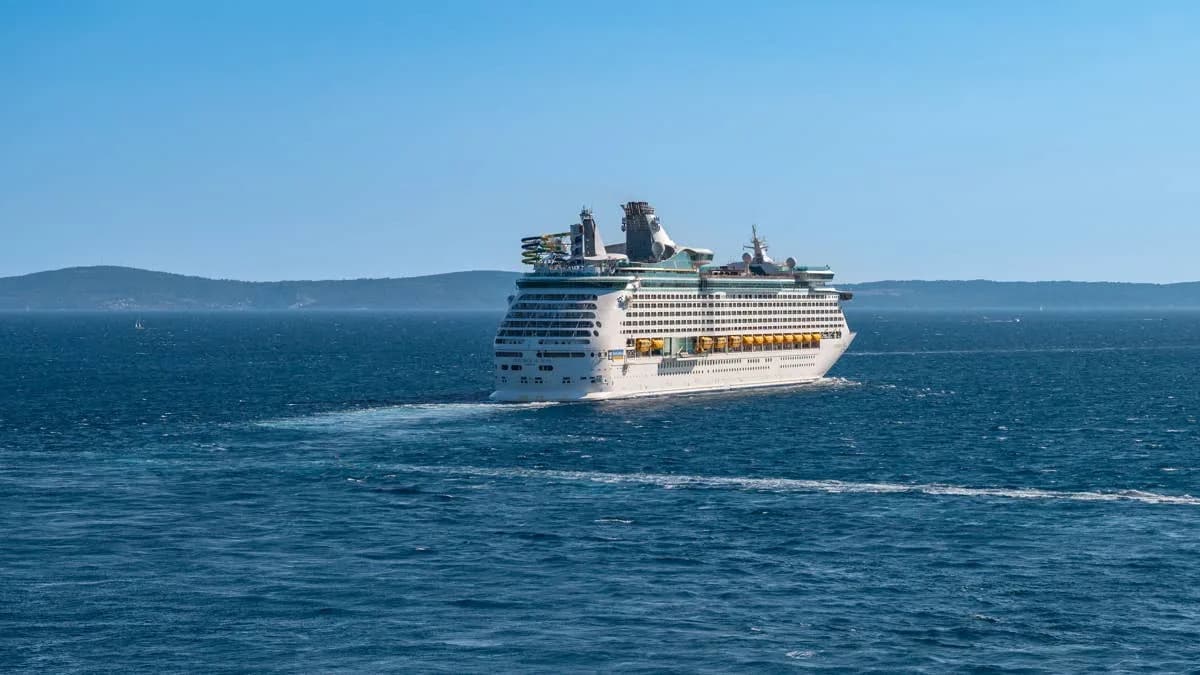 Royal Caribbean Suočen Sa Istragom Nakon Stravične Smrti Trudne Ugrožene Ženke Fin Kita
