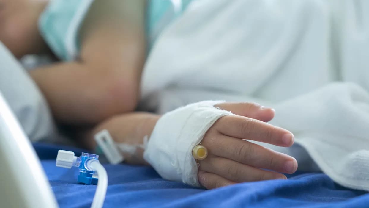 Powassan virus U Porastu U Severoistočnim SAD: Povezan Sa Smrću Dečaka 1958. I 76 Slučajeva U 2025.