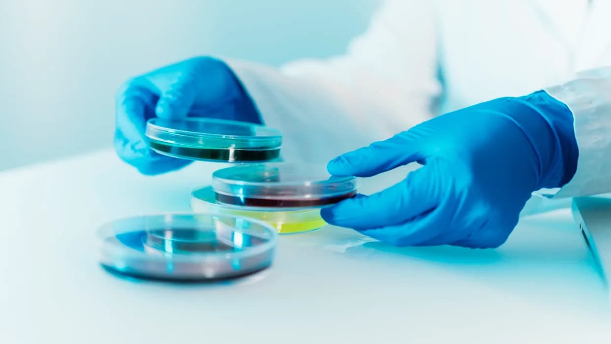 Otkriven protein koji može smanjiti štetu kemoterapije po srce i mozak