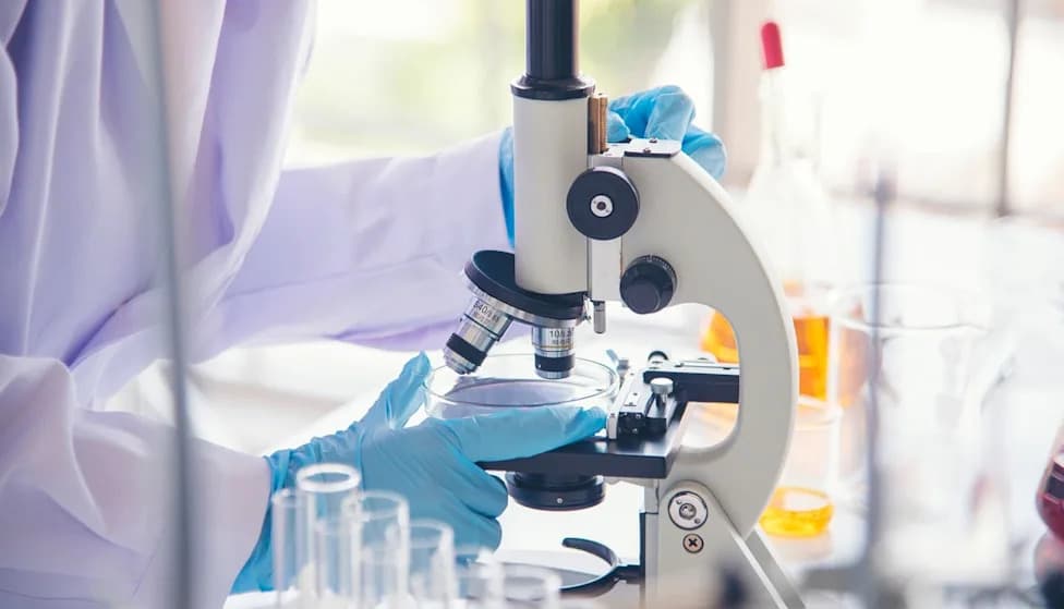 EMA CHMP Dodelio PRIME Status Autolognoj CAR‑T Terapiji C‑CAR168 Kompanije AbelZeta