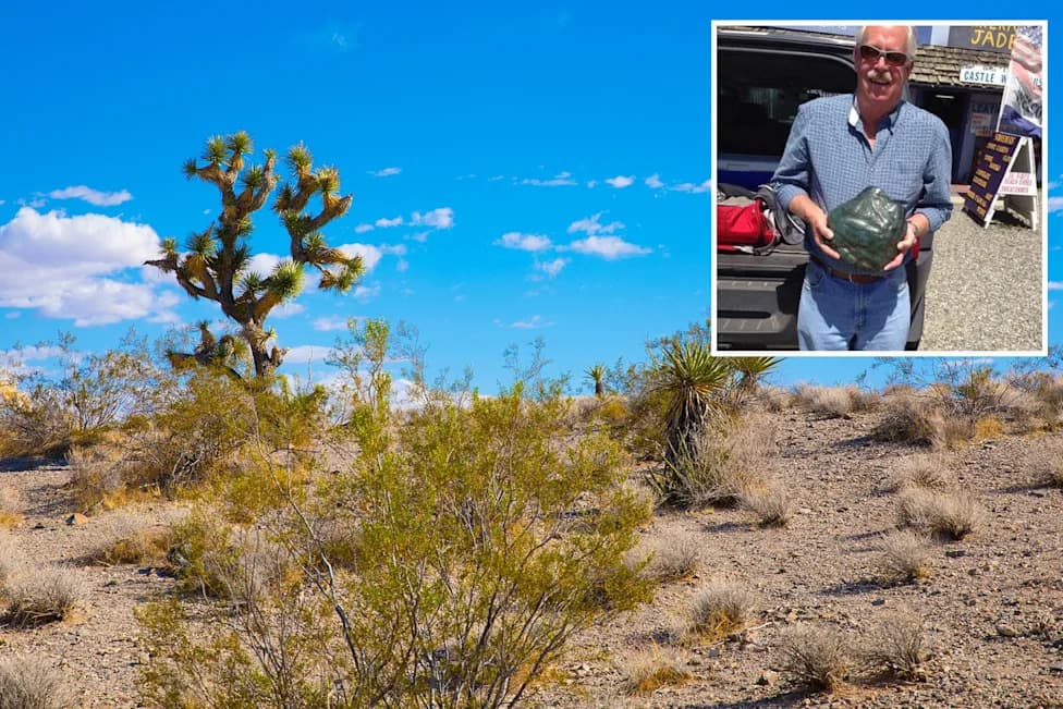 Misteriozni "Paleo Story Stones" iz Mojave: Otkriće koje bi moglo promeniti razumevanje praistorijske umetnosti