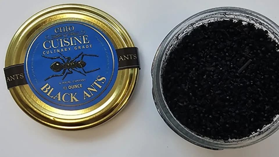 Vlasnik Restorana Sa Dve Michelin Zvezdice Optužen Zbog Mrava U Sorbetu — Preti Godina Dana Zatvora