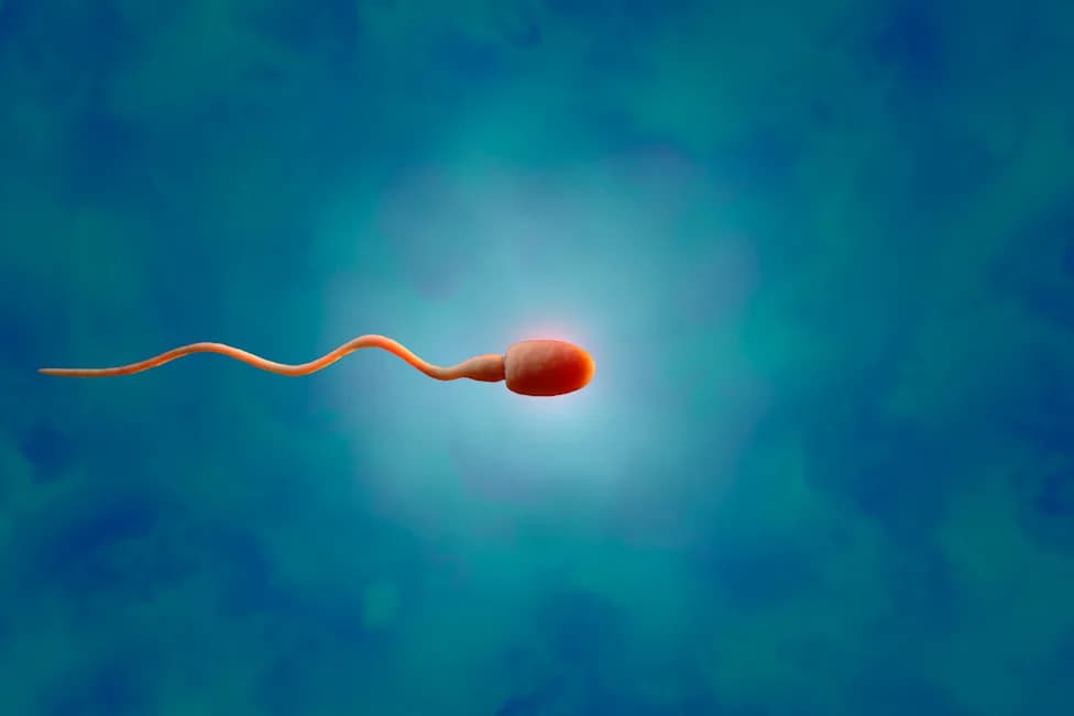 Prekretnica: Transplantirano Zamrznuto Testikularno Tkivo Proizvelo Spermatozoide Kod Pacijenta