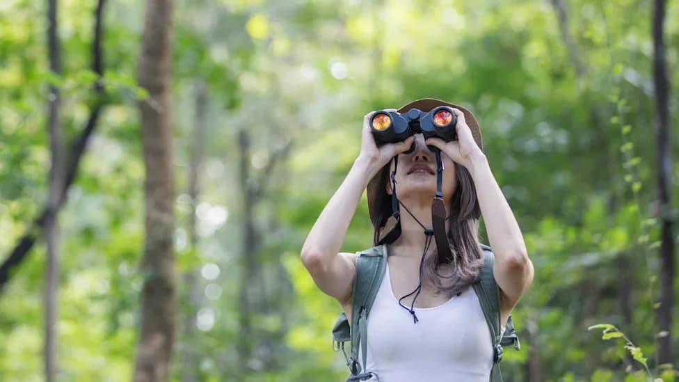 AI Menja Fotografije Ptice — Lažni Snimci Mogu Ugroziti Građansku Nauku