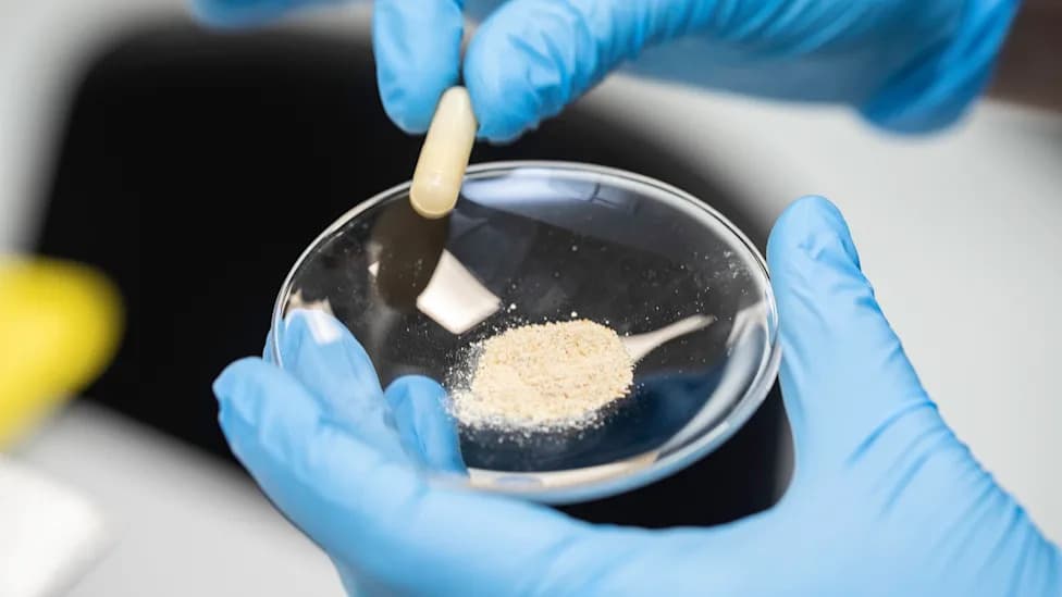 Suplement od Inaktiviranih Bakterija (Qi601) Može Vežati Mikroplastiku Pre Apsorpcije — Rana Istraživanja Pokazuju Potencijal