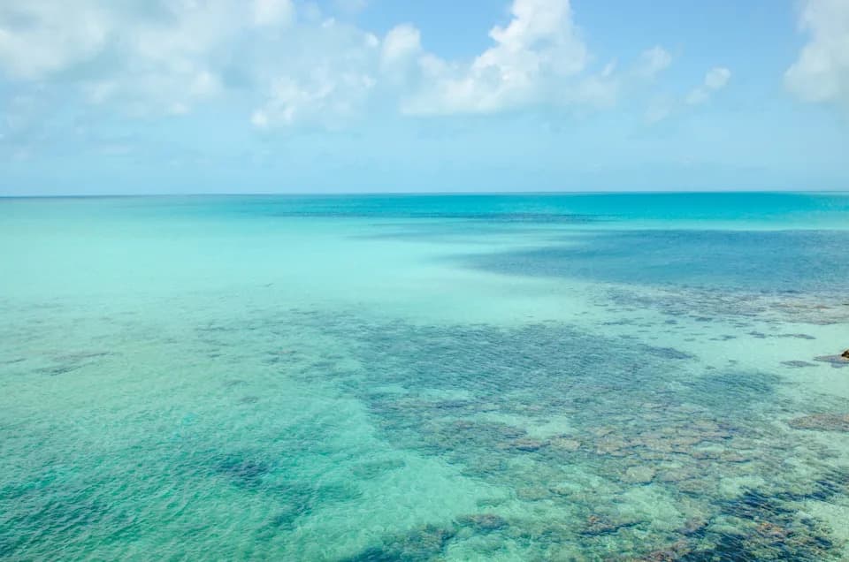 Flamingo Air prizemljen nakon pada aviona na Bahamima — 10 poginulih, istraga u toku