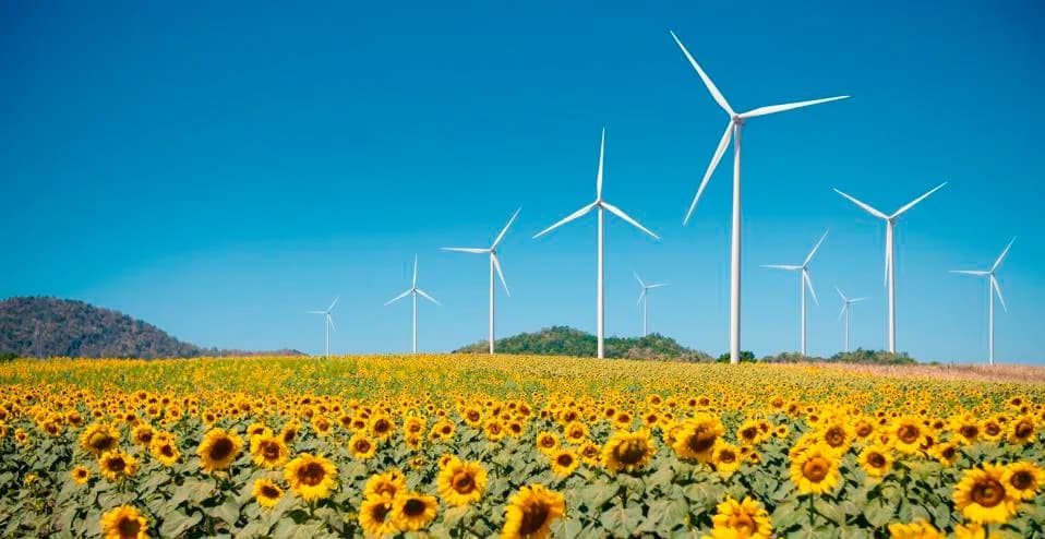 Skriveni Problem Divljih Životinja U Bumu Obnovljive Energije — Kako Uskladiti Zelenu Tranziciju i Biodiverzitet