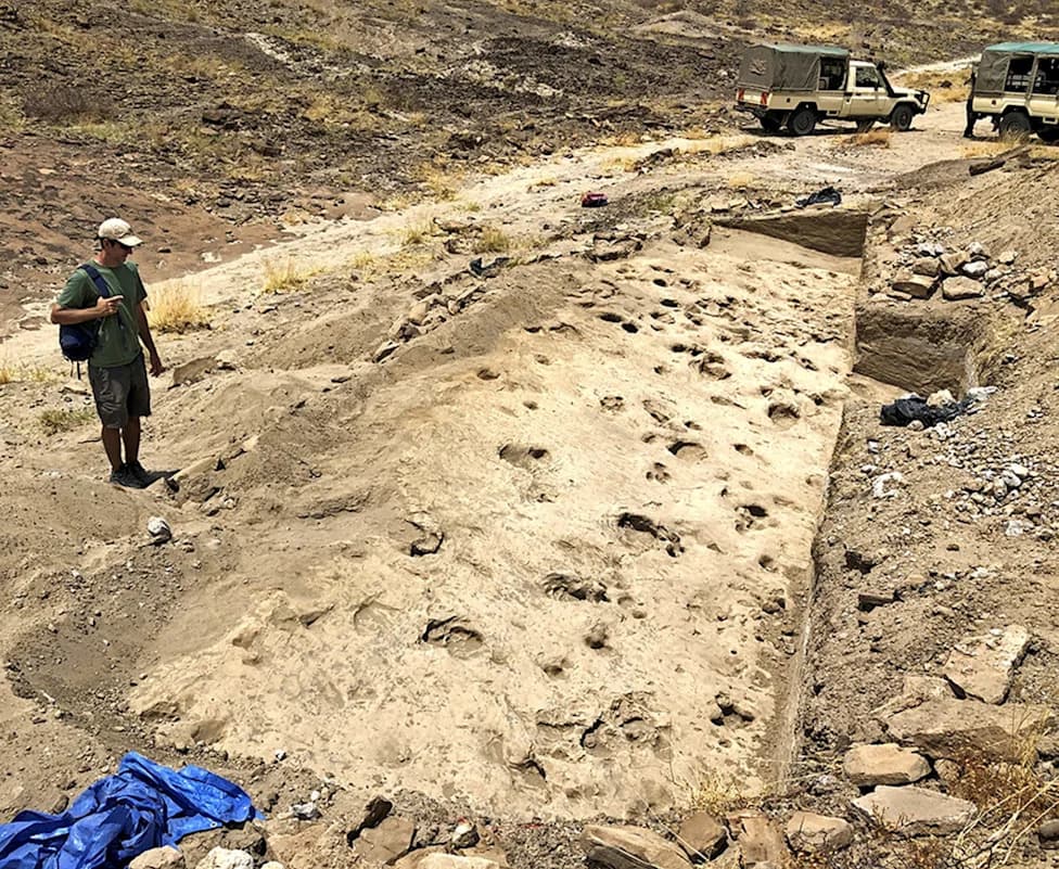 Otisci sa Turkane: Paranthropus boisei Viši i Društveniji nego Što Se Mislilo