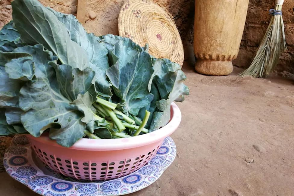 Kako su collard greens (lisnati kupus) možda stigle do američkog Juga — od Bagdada preko marokanskih oaza