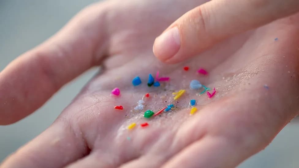 Mikroplastika U Ljudskim Arterijama: Pronađena U Sva 17 Uzorka, PET Čini 73,7%