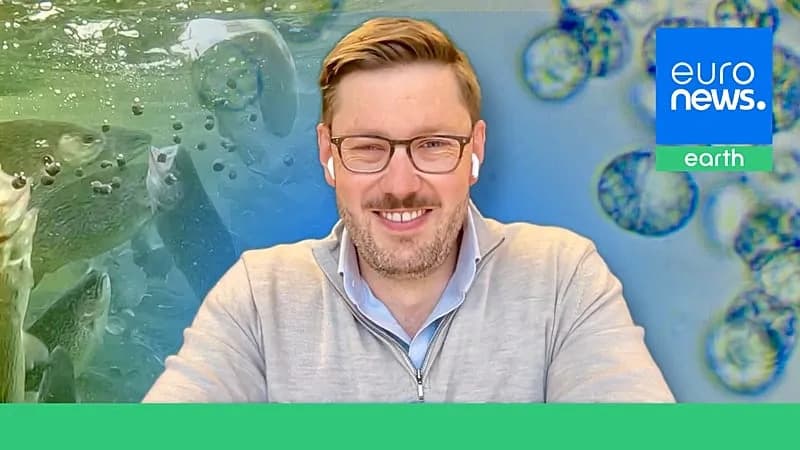 Škotski startup spašava divlje ribe: omega‑3 iz algi gajenih na nusproizvodu od viskija