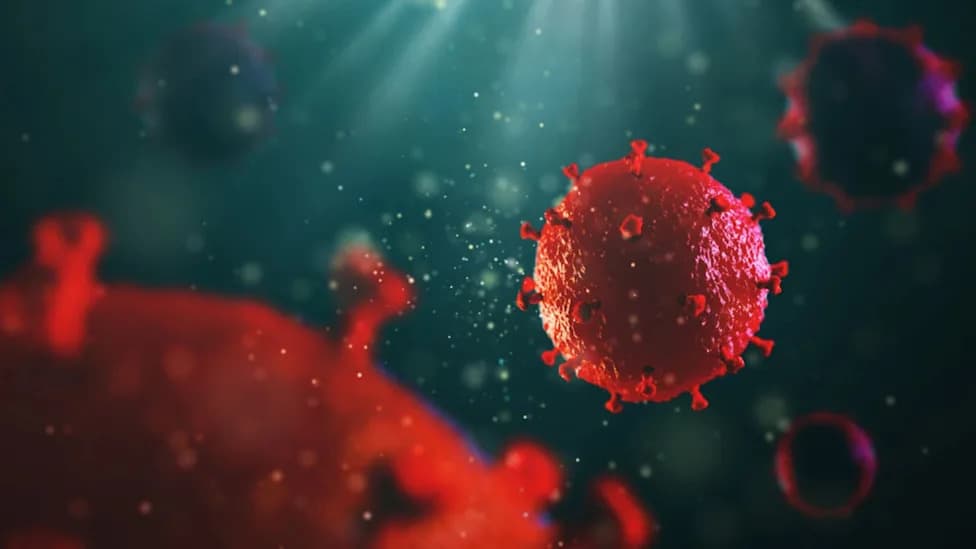 Prvi put u ljudima: in vivo CRISPR terapija EBT-101 cilja HIV — bezbednost potvrđena, izlečenje nije