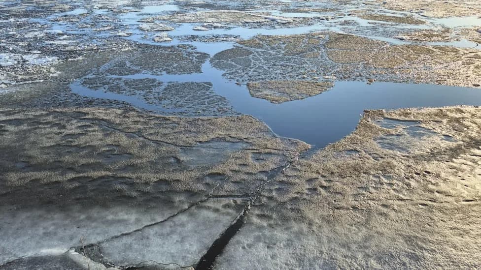Arktik u Rusiji beleži ekstremne vrućine: stanice blizu Arktičkog kruga prešle 90°F