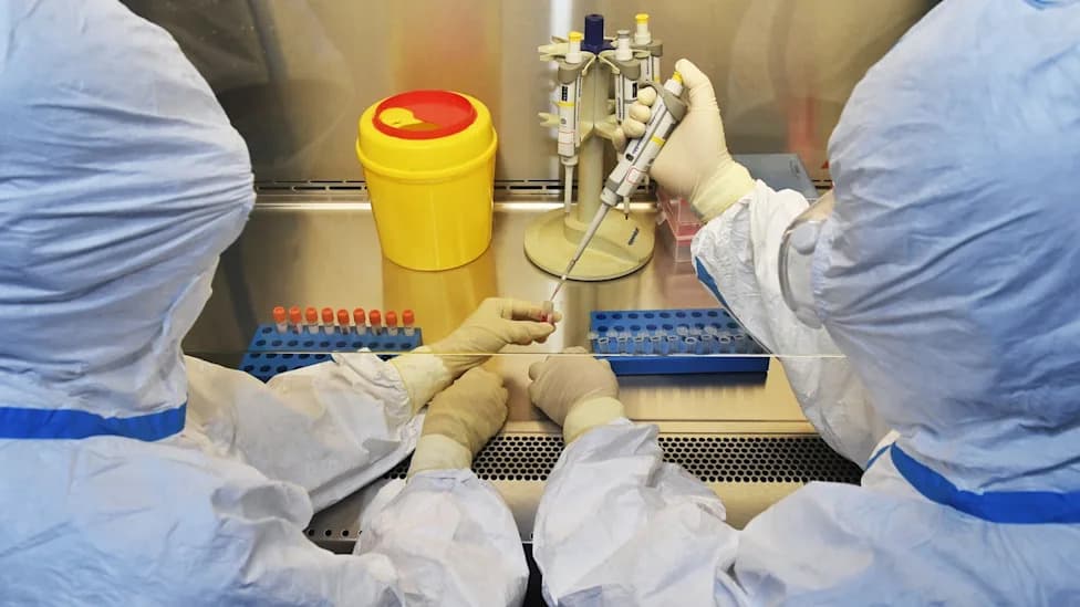 AI Dizajnira Funkcionalne Sintetičke Viruse: Izazov Za Biobezbednost I Detekciju