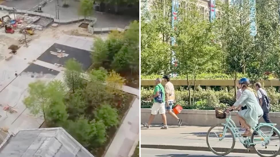 Pariz Pretvara Kameni Trg Ispred Hôtel de Ville U Mikrosum — Više Od 50 Stabala i 20.000 Biljaka
