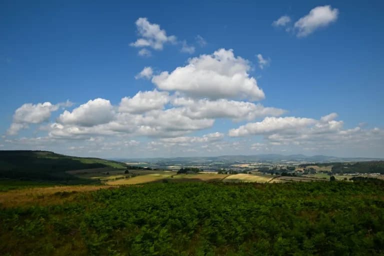 Spas za Rothbury: Wildlife Trusts Traži £30M da Otkupi 3.800 ha Istorijskog Imanja