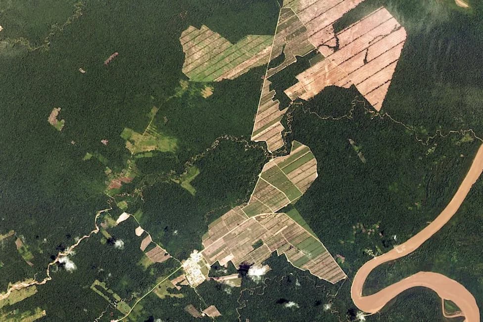 Dok Brazil Smanjuje Krčenje Šuma, Bolivija Beleži Talas Deforestacije